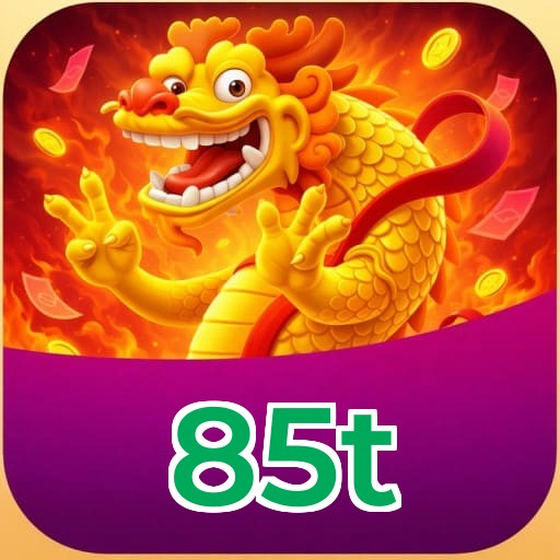 85t User Account